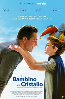 cover IL BAMBINO DI CRISTALLO